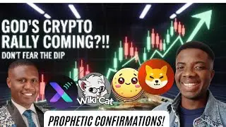 Бог предсказал крипторалли?! Не беспокойтесь о падении | Crepe, COAI, XPIN, Wikicat, SHIB, LUNC...