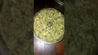 Dave's grinder is full of weed