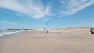 Primer Pesca y Cocina del año, en Mar chiquita. Muchas grcias a todos, saludos y buena pesca!!!