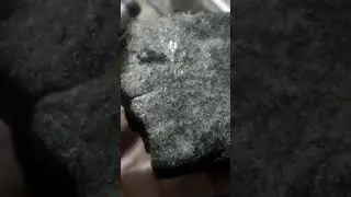 Space Elephant Meteorite