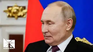 Russian President Vladimir Putin says he supports U.S.-brokered ceasefire with Ukraine