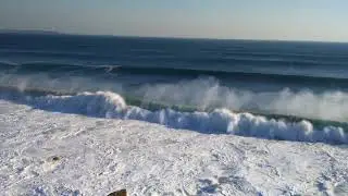 DALBOS - 2,5M