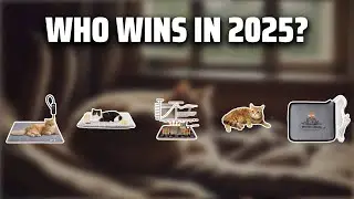 The Top 5 Best Cat Heating Pads in 2025 - Must Watch Before Buying!