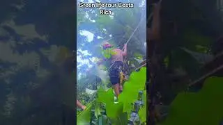Est&aacute;s preparado para vivir la aventura con green life tour Costa Rica cont&aacute;ctanos +506 87670793