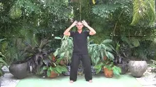 Pulling Down the Heavens (to Purge) - Qigong Exercise