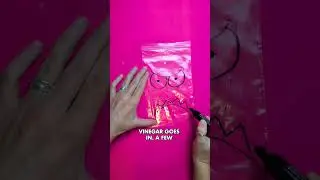 🤓 Easy Science Monster Bag Trick!