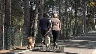 Camping Altomira de Navajas - Proyectos Leader