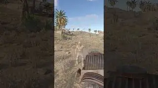 BEST DESERT SKIN SET FOR 5$ IN RUST