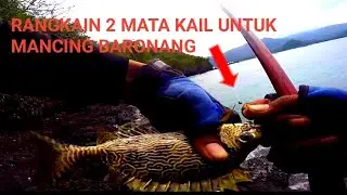 Panen Ikan Baronang Dengan Rangkaian Terbaik