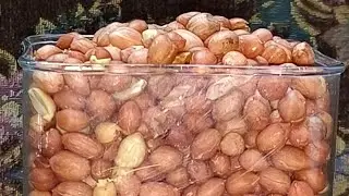 கடை ஸ்டைல் பச்சை வேர்க்கடலை வறுவல் வீட்டிலேயே