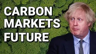 THE FUTURE OF CARBON CREDITS: Article 6