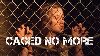 A heart-wrenching social drama about human trafficking | Caged No More (2016) | Full movie