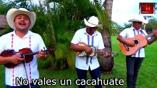 HALCON HUASTECO de Marte Santana 