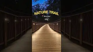 Mumbai&rsquo;s NEW Nature Trail 🌿✨ | elevated forest walkway &ndash; Hidden Spot You Must See 👀! Malabarhills