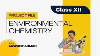 Environmental Chemistry Project File || Class 11 Chemistry || CBSE Chemistry ||