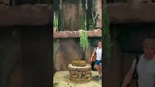 the boulder run