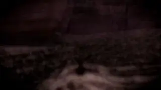 Sleeping Dogs Glitch