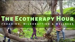 The Ecotherapy Hour: Mental Health Nature Connection Exercises with Bryan Bramlett