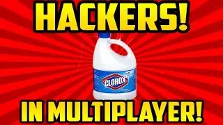 Hackers in Multiplayer...