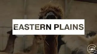 Explore the Eastern Plains near Colorado Springs, CO