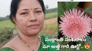 విల్లెజ్ లో సంక్రాంతి పండుగ | మా అత్త గారి ఊర్లో |అంబరాన్ని అంటిన సంబరాలు|సంక్రాంతి సంబరాలు |sankra.