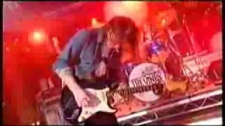 The Vines on Channel V (2006) -Anysound