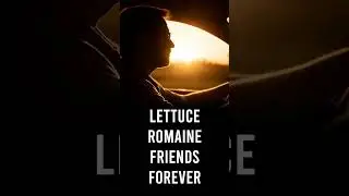 Dad Joke Anthem - I'm Here  All Week