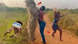 Top Funniest Reactions of Bushman Prank 2025