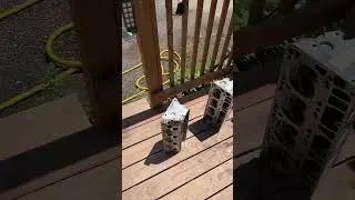 Backyard rebuild on 243