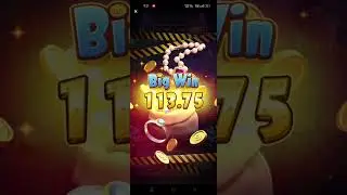 WILD HIEST CASHOUT Auto 80 Spin