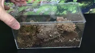 Обзор корпуса для изопод: www.Microvarium.com