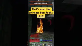 Princess boss fight! #minecraft #gaming #rlcraft #rlcraftv2 #rlcraftminecraft #rlcraftdregora