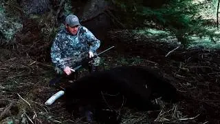 Southeast Alaska  Fall bear hunt September 2018