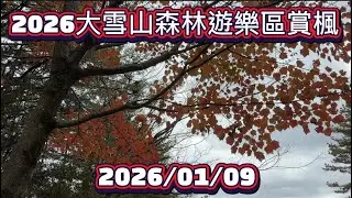 2026大雪山國家森林遊樂區賞楓2026/01/09