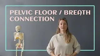 Episode 6: Pelvic Floor/Breath Connection