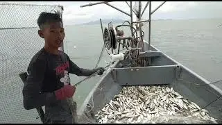 Ikan 2.3 Tan Nelayan kuala muda