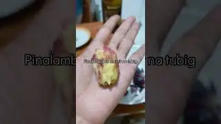 PILI | pili nut of the Philippines