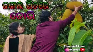 ଜଙ୍ଗଲ ଭିତରେ ଚୋରି / Rupa Pin2 Khushi