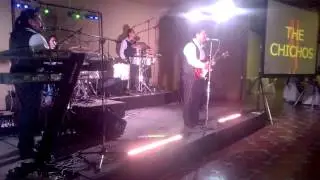 chichos de irapuato - rock & roll