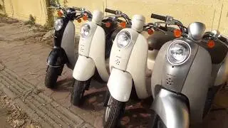 Honda Scoopy Mini 50CC (Japan) | Sakura Enterprises