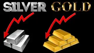 Silver and Gold Crash Continues Despite Record Inflation?!