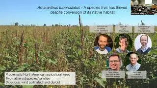 Julia Kreiner, University of Chicago &ldquo;The tempo and mode of adaptation to contemporary agriculture&rdquo;