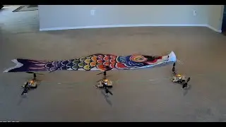 Flying Fish Hex Copter First Flights