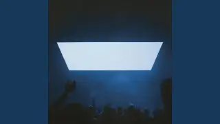 The Blood (Live)