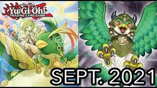 Gusto 2.0 Deck Profile September 2021