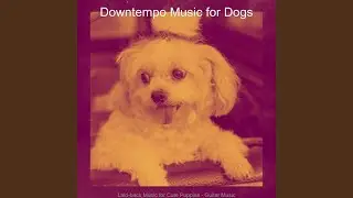 Laid-back Music for Calming Dogs