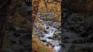 Look within, not outside #truth #motivation #realization #shorts