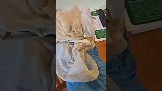 Clean my vacation condo with me 🧼🧹🧼🧹✨️💫In Vail Colorado 🌬