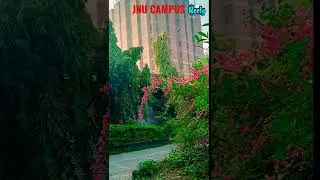 JNU beautiful view|| JNU campus tour || #nature #jnu #shorts #viralshorts #naturephotography