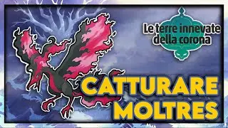 COME CATTURARE SU MOLTRES FORMA GALAR POKEMON SPADA E SCUDO TERRE INNEVATE DELLA CORONA DLC